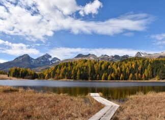 Czy nauczyciel początkujący bez przygotowania pedagogicznego może rozpocząć staż?