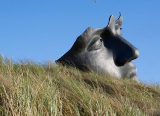 Jak uspokoić klienta? Jak uspokoić klienta?