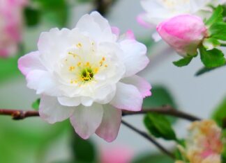 Ile jest rodzajów kart? Ile jest rodzajów kart?