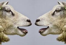 Na czym polega dobre i skuteczne komunikowanie się w zespole?