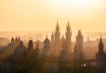 Jakie są cele kampanii?