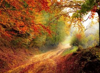 Jak stworzyć ścieżkę kariery? Jak stworzyć ścieżkę kariery?