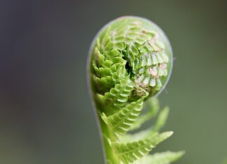 Jak rozwijać wyobraźnię u dorosłych? Jak rozwijać wyobraźnię u dorosłych?