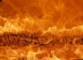 Z jakich elementów składa się marka? Z jakich elementów składa się marka?